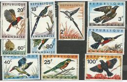 RWANDA - BIRDS; RED BISHOP; RED BILLED QUELEA; DOUBLE TOOTH BARBET; PIN TAILED WHYDAH; SOLITARY CUCKOO; WIDOWBIRD - Koekoeken En Toerako's