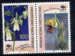 BOSNIA & HERCEGOVINA (Sarajevo) 1995 Flowers Pair MNH / **.  Michel 28-29 - Bosnië En Herzegovina