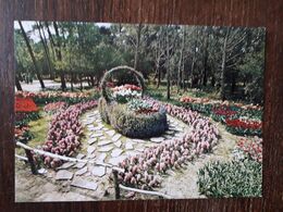 L30/40 LA TRANCHE SUR MER - Les Floralies . Le Panier - La Tranche Sur Mer