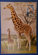 A22 ESPAGNE TANGER BELLE CARTE  MAXI 1956 + AFFRANCHISSEMENT PLAISANT + DESSINS GIRAFFES - Cartas & Documentos