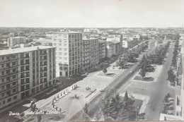 Delcampe - Cartolina - Pavia - Viale Della Libertà - 1962 - Pavia