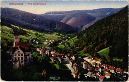 CPA AK Schramberg Blick Ins Bernecktal (922462) - Schramberg