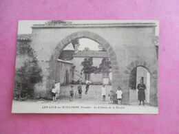 85 LES LUCS SUR BOULOGNE CHÂTEAU DE LA DAVIERE ANIMÉE - Les Lucs Sur Boulogne