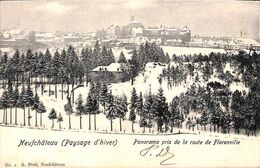 Neufchâteau (Paysage D'hiver) - Panorama Pris De La Route De Florenville (A. Petit 1903) - Neufchateau