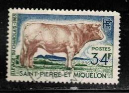 ST PIERRE & MIQUELON Scott # 373 Used - Cattle, Charolais Bull - Used Stamps