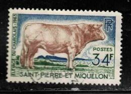ST PIERRE & MIQUELON Scott # 373 Used - Cattle, Charolais Bull - Oblitérés