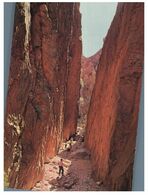 (O 8 A) Australia - NT - Standley Chasm (near Alice Springs) - Alice Springs
