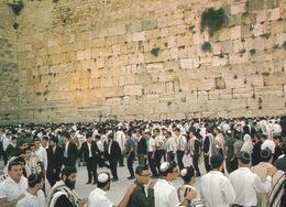 JUDAICA . Cpm 10x15 . ISRAEL Palphot N° 9155 :  Liberation Day Of JERUSALEM  (Foule En Prière Au Mur Des Lamentations ) - Israël