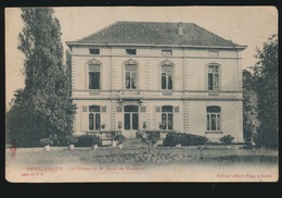 DESTELBERGEN  A.SUGG 48 / 6   LE CHATEAU DE Mr MOREL DE WESTGAVER - Destelbergen