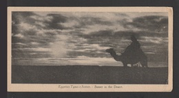 Egypt - RARE - Vintage Post Card - Sunset In The Desert - Covers & Documents