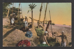 Egypt - RARE - Vintage Post Card - Shadufs - Storia Postale