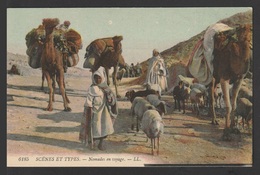 Egypt - RARE - Vintage Post Card - Nomads In Travel - Storia Postale