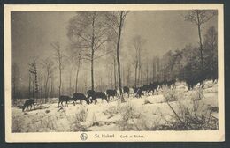 Delcampe - +++ CPA - SAINT HUBERT - Cerfs Et Biches - Nels  // - Saint-Hubert