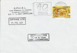 LUXEMBOURG SEUL SUR LETTRE POUR LA FRANCE 2007 - Cartas & Documentos