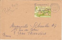 LUXEMBOURG SEUL SUR LETTRE POUR LA FRANCE 2010 - Cartas & Documentos