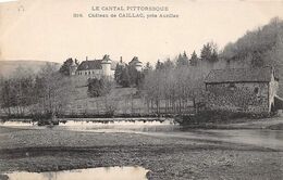 Vezac     15       Château De Caillac         (voir Scan) - Andere & Zonder Classificatie