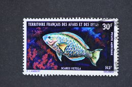 Afars Et Issas - 1971 Poisson Scarus Vetula N° PA 66 Oblitéré - Oblitérés