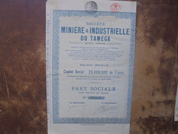 ACTION MINIERE TAMEGA (LIRE CI BAS LES CONDITIONS D'ENVOIS) - Unclassified