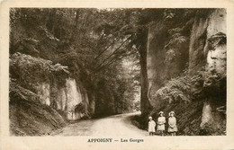 Appoigny * Les Gorges * Route - Appoigny