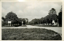 Rozay En Brie * Boulevard Victor Hugo * Avenue De La Gare - Rozay En Brie