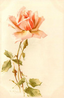 Catharina KLEIN * Illustrateur * CPA Dos 1900 * Fleurs Rose - Klein, Catharina