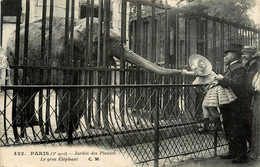 Paris * 5ème * Le Jardin Des Plantes * Le Gros éléphant - Parken, Tuinen