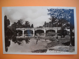 3084   Carte Postale  MEAULNE  Pont Sur L' AUMANCE  Pêcheur   03  Allier - Andere & Zonder Classificatie