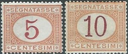 ITALY ITALIA ITALIEN ITALIE REGNO TAXE 1890 - 1894 , 5c & 30c,Not Used - Taxe