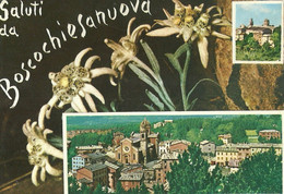 9166 " SALUTI DA BOSCOCHIESANUOVA " 2 VEDUTE + STELLE ALPINE  - CARTOLINA POSTALE  ORIGINALE SPEDITA 1967 - Souvenir De...