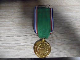 Médaille Oeuvre Humanitaire Société Des Bienfaiteurs De L'humanité De La France Algérie Tunisie Maroc - Autres & Non Classés