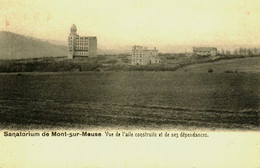 Belgique  /  Mont Sur Meuse  / Vue De L'aile Construite Et De Ses Dépendances - Dinant