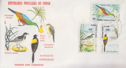 Enveloppe  FDC   1er    Jour    CONGO     Oiseaux  Congolais    1980 - FDC