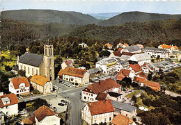 67-WANGENBOURG-VUE AERIENNE - Sonstige & Ohne Zuordnung