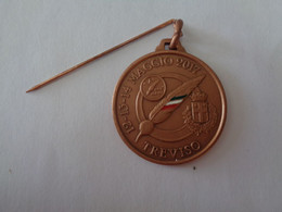 Medal, Medaglia Adunata Treviso 2017 - A.N.A. Associazione Nazionale Alpini  - LEGGI - Italy