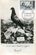 58608 France, Maximum 1957  Colombophilie, Yv.1091   Brieftaube, Pigeon, Dove - Columbiformes