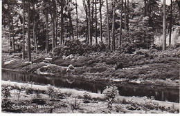 Driebergen Heidetuin PW117 - Driebergen – Rijsenburg