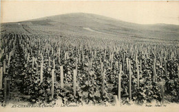 Ay En Champagne * Les Coteaux * Vin Vignes Vigne Viticole Viticulture Vignoble - Ay En Champagne