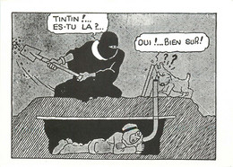 HERGE  TINTIN ( Bandes Déssinées ) - Fumetti