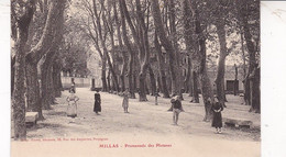 66 / MILLAS / PROMENADE DES PLATANES - Millas