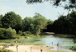 Anglure - Plage Et Pointe De L'île - Anglure