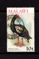 MALAWI    1975    Birds    2nd  Series   10t  African  Snipe     USED - Malawi (1964-...)