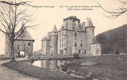 Polminhac        15       Château De  Pesteils    2      (voir Scan) - Otros & Sin Clasificación
