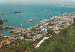 GIBRALTAR  -  D'LIGTH TOWN HARBOUR - Gibilterra