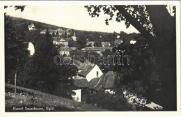 T2/T3 1954 Savanyúkút, Sauerbrunn; Kurort / Látkép / General View (EK) - Sin Clasificación