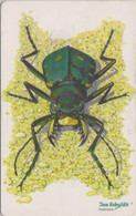 Télécarte Puce TCHEQUIE - ANIMAL   INSECTE Coleoptère - CICINDELA CAMPESTRIS - INSECT Chip CZ Phonecard - INSEKT  - 246 - Andere & Zonder Classificatie