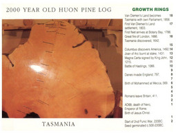 (O 13 A) Australia - TAS - Huon Pine Log (TP632) - Wilderness