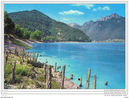 LAGO  DI  LEDRO (TN):  RESTI  DI  PALAFITTE  DELL' ETA'  PREISTORICA  -  FG - Invasi D'acqua & Impianti Eolici