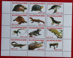 Surinam / Suriname 2007 Turtle Schilpad Reptielen Reptiles Crocodile (ZBL 1437-1448 Mi 2108-2119) POSTFRIS / MNH ** - Surinam