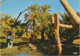 République Islamique De Mauritanie - Oasis - Mauretanien