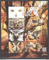 Poland  2017 - Birds - Owls - Mi.ms 269 - MNH(**) - Blocks & Sheetlets & Panes